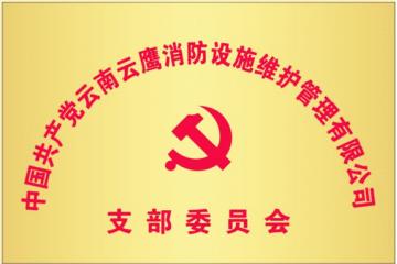云鹰公司成立共产党支部委员会
